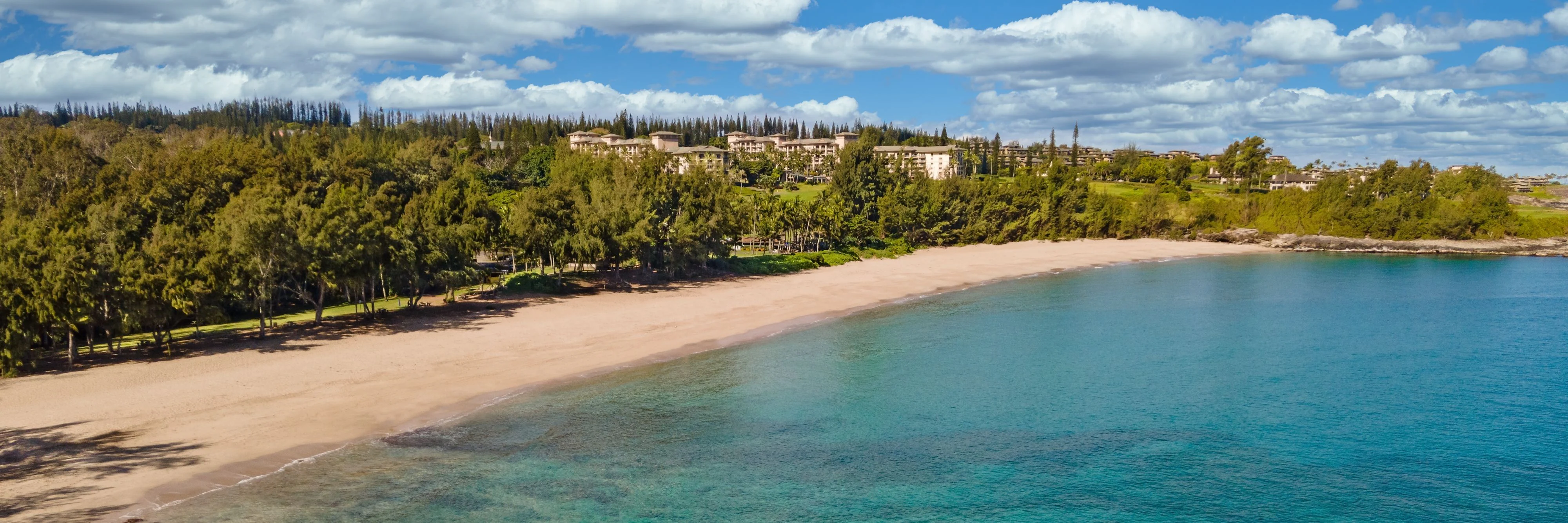 The Ritz-Carlton Maui, Kapalua