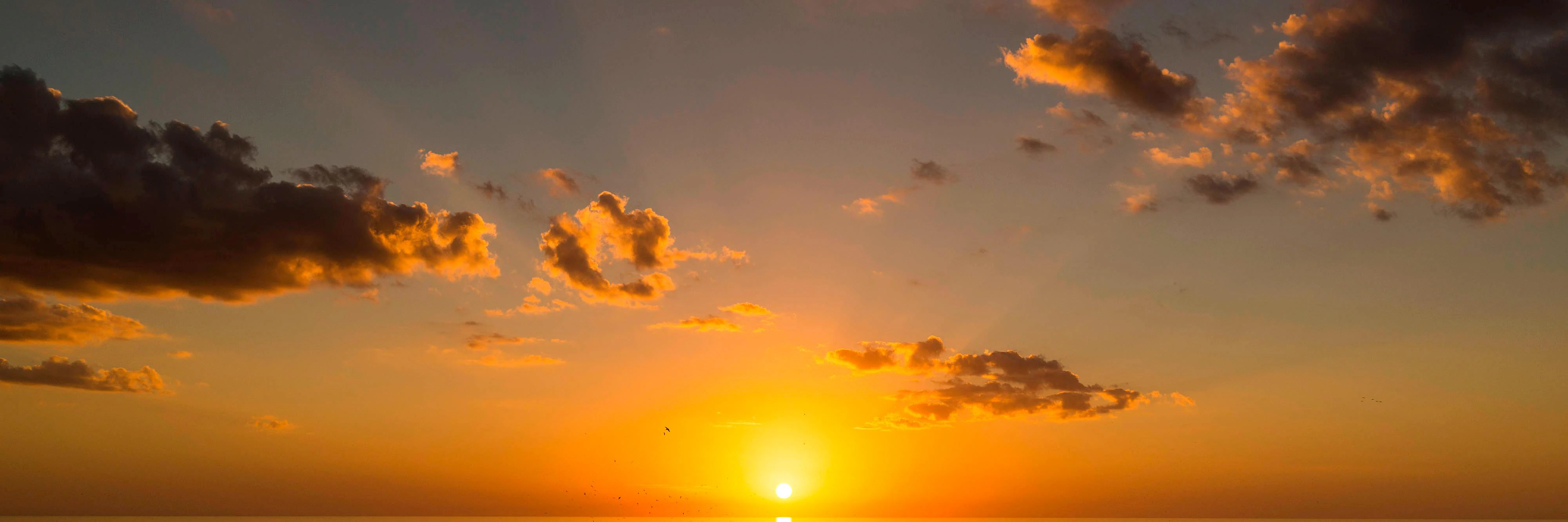 JW Marriott Marco Island Beach Resort